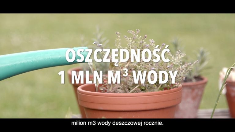 Program „Moja woda”. Nawet 5 tys. zł dofinansowania na przydomowe instalacje zatrzymujące deszczówkę