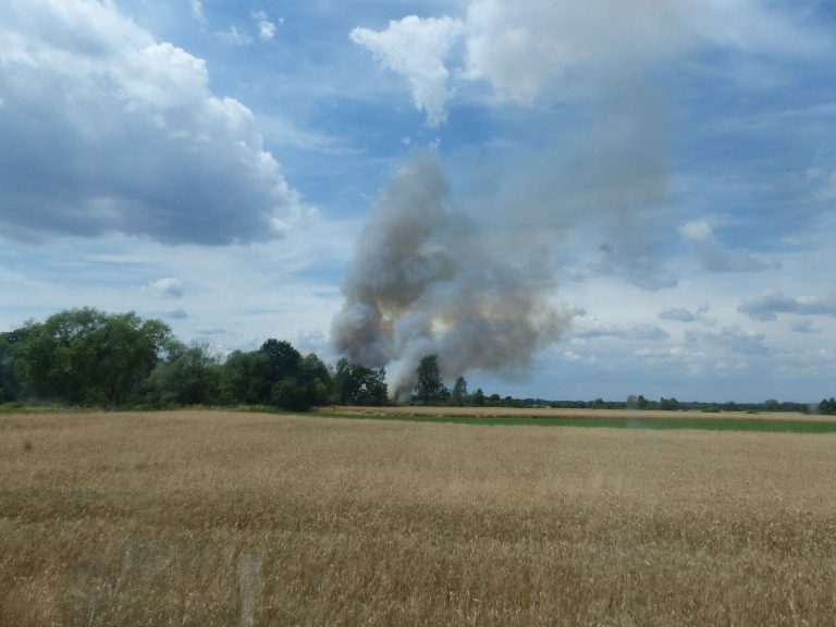 Duży pożar zboża w okolicy Wyszęcic